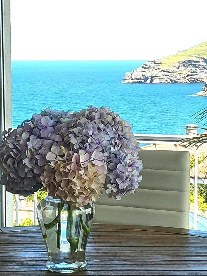 Villa Vistas Al Mar, Urbanizacion Privada Con Piscina De Agua Salada アホ エクステリア 写真